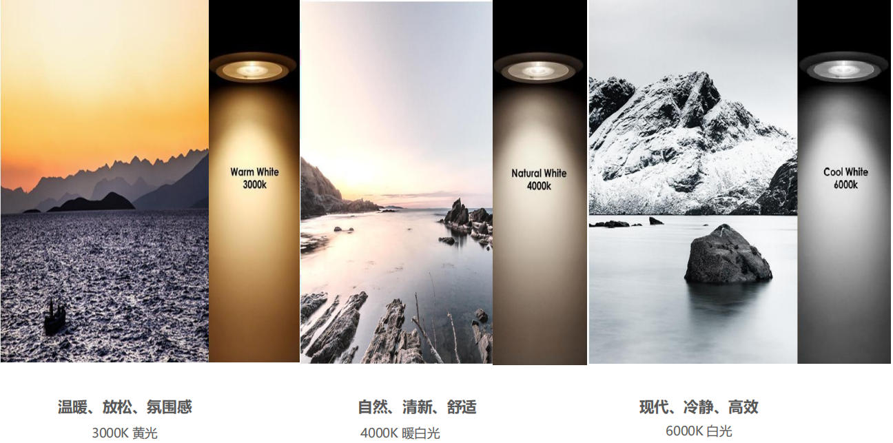 【設(shè)計(jì)案例】普照國(guó)康醫(yī)藥辦公室項(xiàng)目概念設(shè)計(jì)——以空間敘事，筑品牌基因(圖26)
