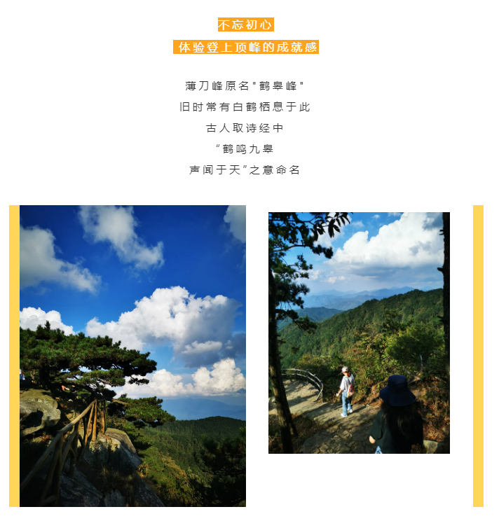 秋天了，來一場成年人的秋游吧(圖2)