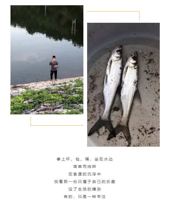 秋天了，來一場成年人的秋游吧(圖5)