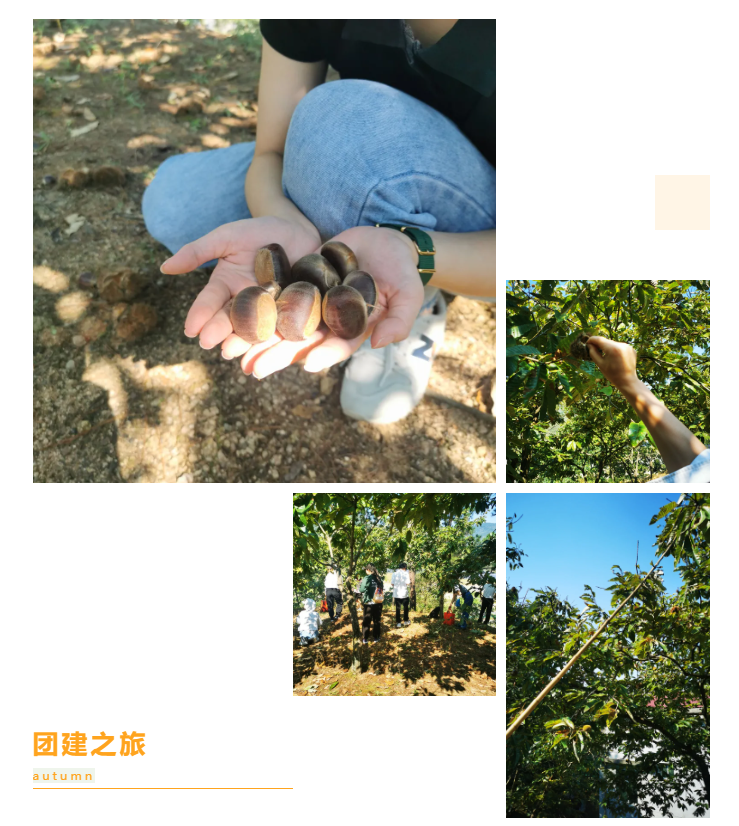秋天了，來一場成年人的秋游吧(圖6)